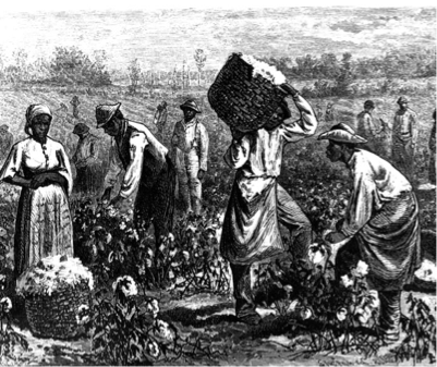 slave trade atlantic reasons field